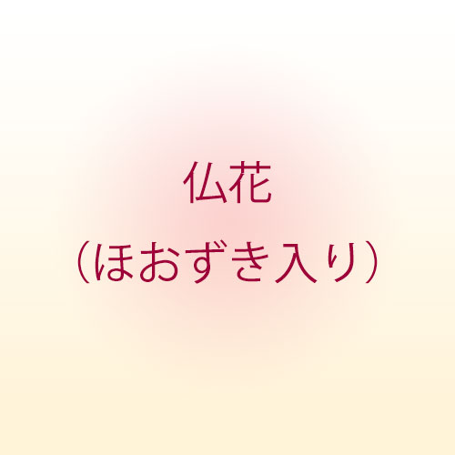 ʩ֡ʤۤˣݣ